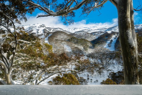 Pure Chalet Thredbo - Perths Hotel 17