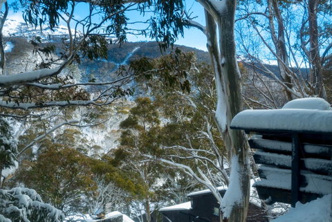 Pure Chalet Thredbo - Perths Hotel 30