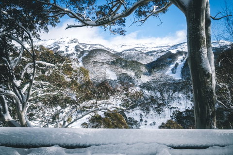 Pure Chalet Thredbo - Perths Hotel 2
