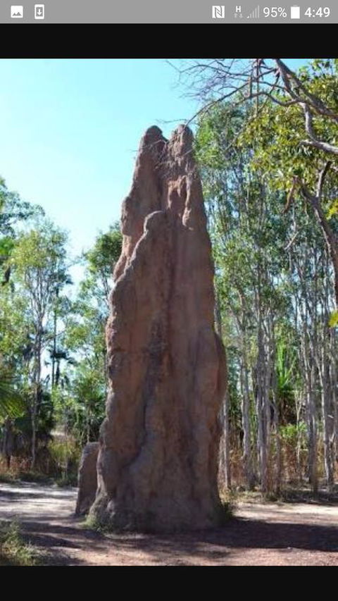 'Tropical Oasis - Darwin NT - Perths Hotel 31