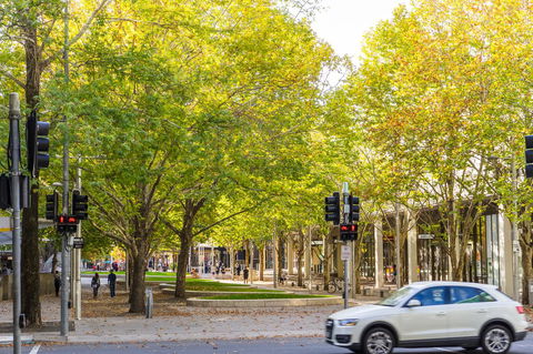 Highgate Executive Apartment City Walk Canberra - Perths Hotel 37