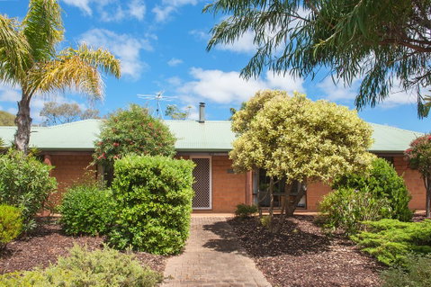 Bottlebrush - Perths Hotel 1