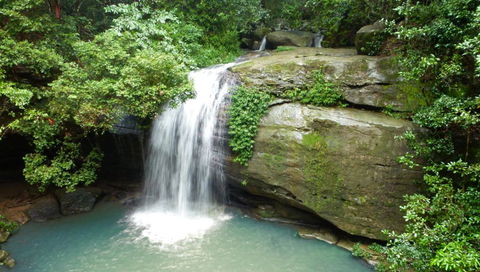 Buderim Forest Hideaway - Perths Hotel 0