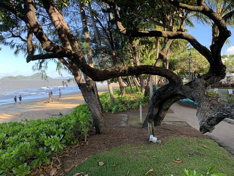 Cairns Palm Cove Studio - Perths Hotel 3