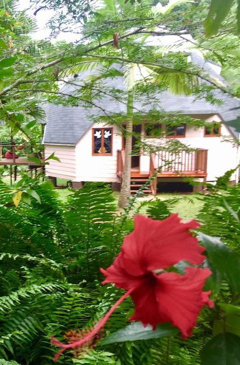Cape Tribulation Holiday House - Perths Hotel 3