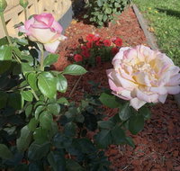 Central Tranquility - Perths Hotel