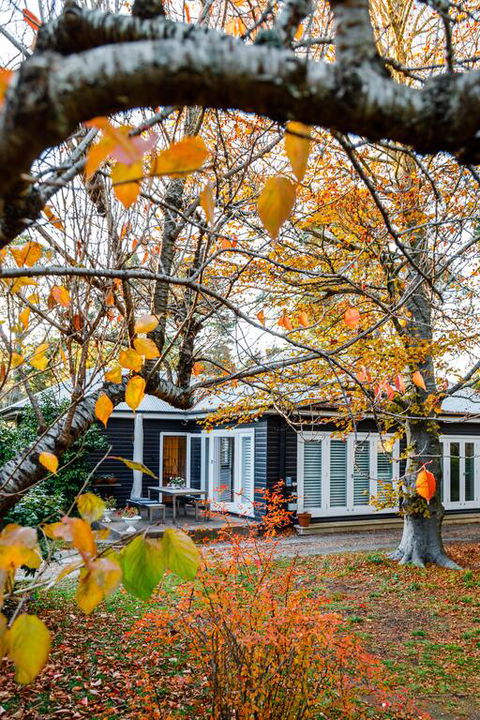 Charming Mountain Cottage - Perths Hotel 3