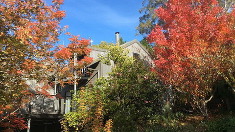 Cloudsong Chalet 4 - Close To The Village Centre! - Perths Hotel 0