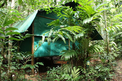 Daintree Crocodylus - Perths Hotel 0