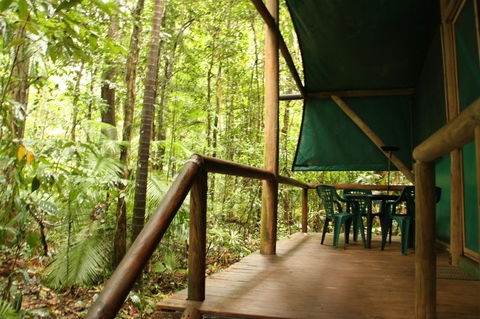 Daintree Crocodylus - Perths Hotel 1