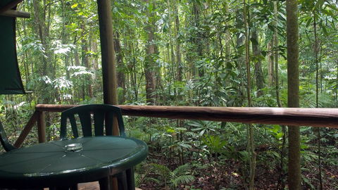 Daintree Crocodylus - Perths Hotel 2