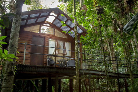 Daintree Wilderness Lodge - Perths Hotel 2
