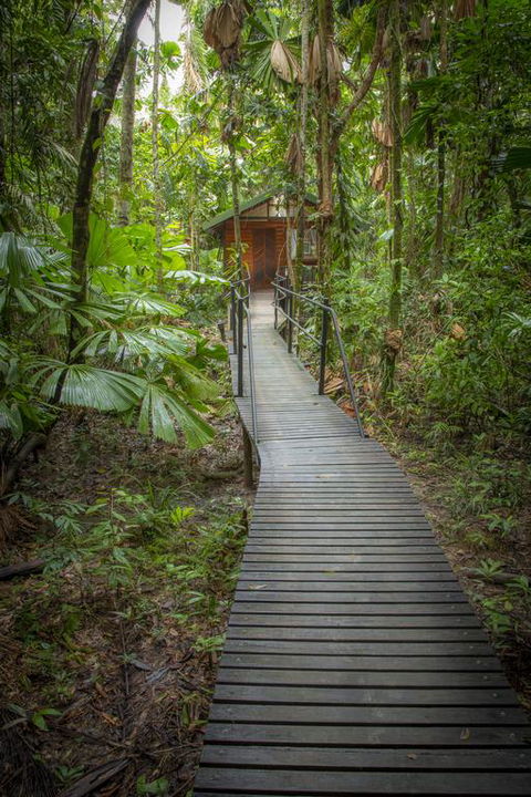 Daintree Wilderness Lodge - Perths Hotel 3