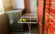 Darling Harbour And Fish Market: Brand New Studio - thumb 2