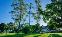 Book Dorrigo Accommodation Vacations Perths Hotel Perths Hotel