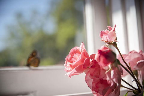 Dwellingup Retreat - Perths Hotel 3