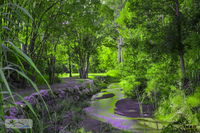 Book Esk Accommodation Vacations Perths Hotel Perths Hotel