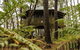 Federation Gardens & Possums Hideaway - thumb 2