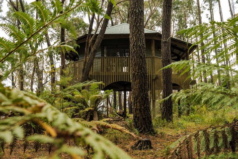 Federation Gardens & Possums Hideaway - Perths Hotel 2