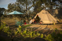 Book Wahgunyah Accommodation Vacations Perths Hotel Perths Hotel
