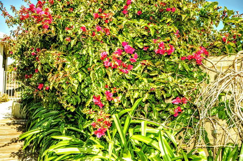 Halls Head Holiday Home - Perths Hotel 3