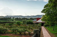 Book Pokolbin Accommodation Vacations Perths Hotel Perths Hotel