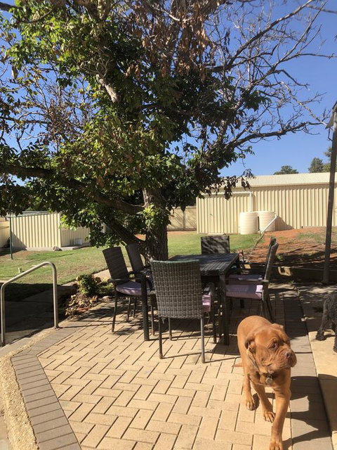 Happy Hours - Perths Hotel 2