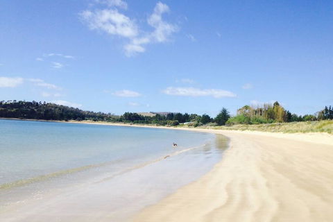 Hobart Beach Front Cottage - Perths Hotel 0