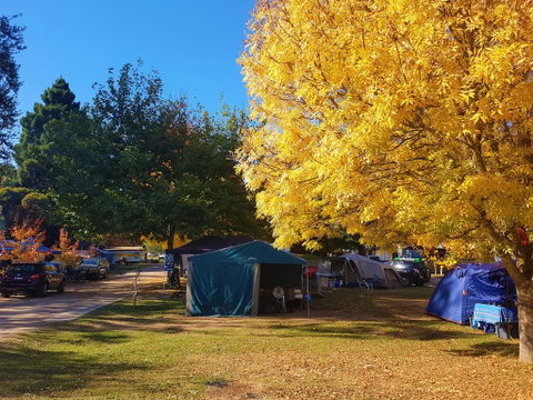 Jamieson Caravan Park - Perths Hotel 2