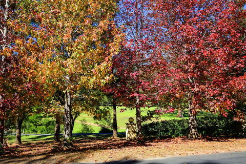 Kangaroo Valley Timber Cabin - Perths Hotel 3