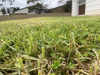 Book Karoonda Accommodation Vacations Perths Hotel Perths Hotel