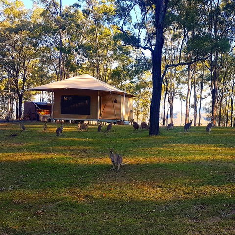 Ketchup's Bank Glamping - Perths Hotel 3