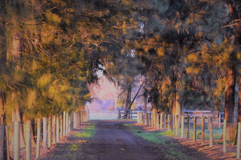 King River Cottage - Perths Hotel 3