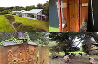 Book Kongwak Accommodation Vacations Perths Hotel Perths Hotel