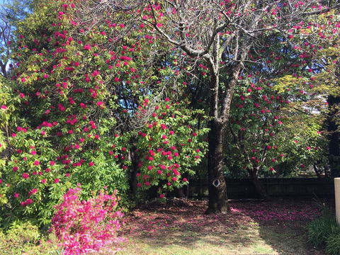 Kookaburra Cottage - Perths Hotel 1