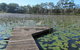 Lake Russell Luxury Retreat - thumb 1