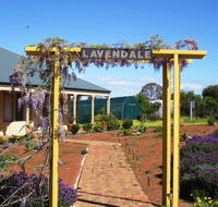 Lavendale Farmstay and Cottages York - Perths Hotel