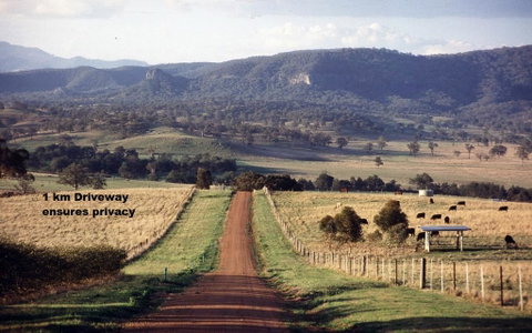 LeCamah Hill - Perths Hotel 2