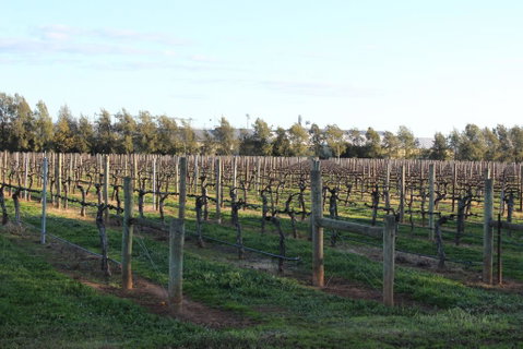Milawa Vineyard Views - Guesthouse 2 - Perths Hotel 0