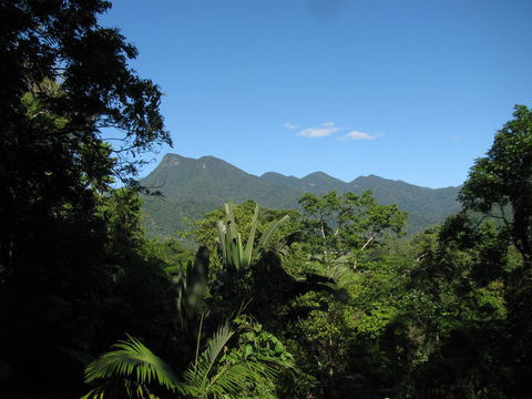 Mossman Gorge Bed And Breakfast - Perths Hotel 0