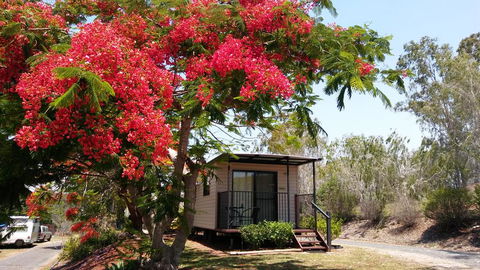 Mt Larcom Tourist Park - Perths Hotel 0