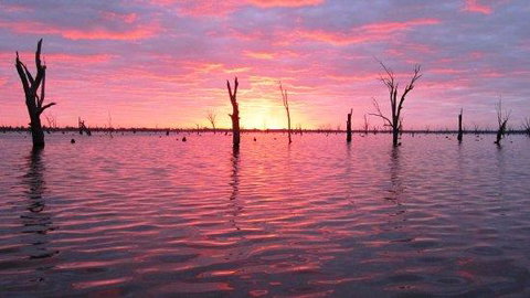 Mulwala Lakeside Apartment - Perths Hotel 2