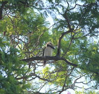 Jacaranda Hideaway Bed  Breakfast - Perths Hotel