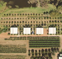 Swan Valley Sisters - Perths Hotel