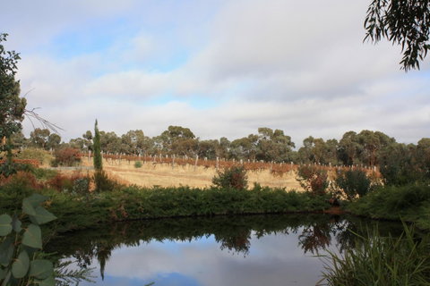 Hotham Ridge Estate - Perths Hotel 27