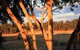 Hotham Ridge Estate - thumb 30