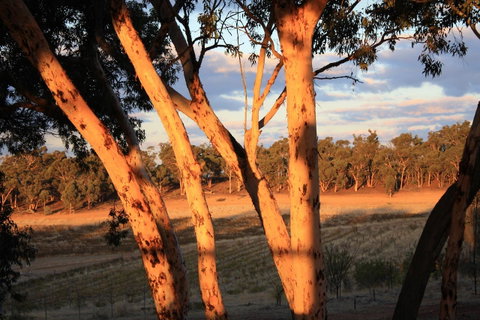 Hotham Ridge Estate - Perths Hotel 30