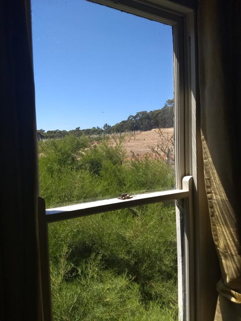 Hotham Ridge Estate - Perths Hotel 8