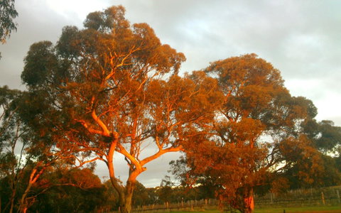 Hotham Ridge Estate - Perths Hotel 35