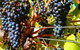 Hotham Ridge Estate - thumb 32